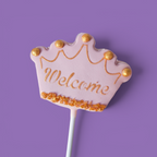Set Baby Shower Celebration Cake Pops - Girl - Handmade in Brisbane