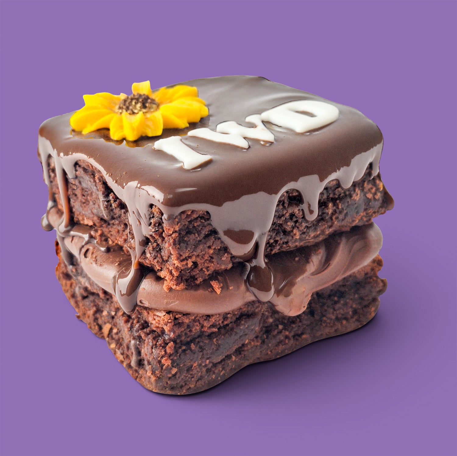 Brownie cake and Nutella with sunflower decoration and text IWD on a chocolate sauce side view.