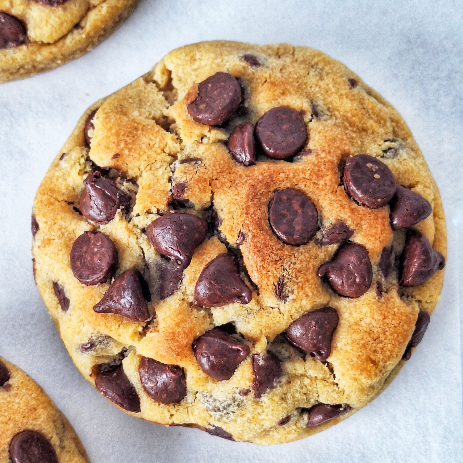 Chocolate Chips Chunky Cookie