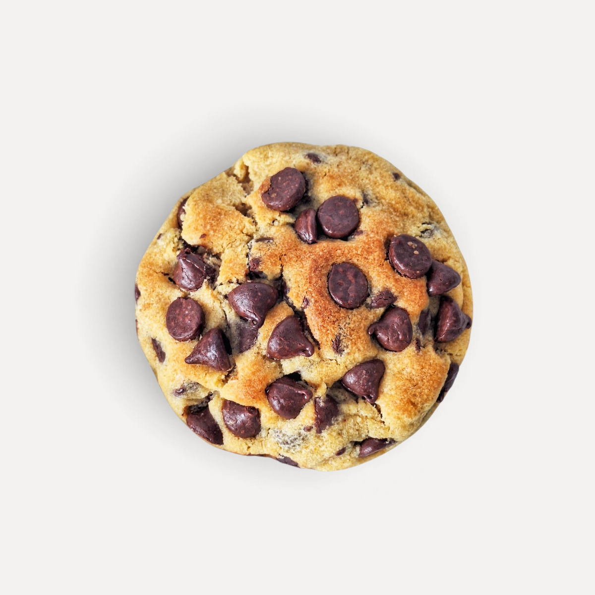 Classic Chocolate Chip, Dark and Milk Chocolate Centre