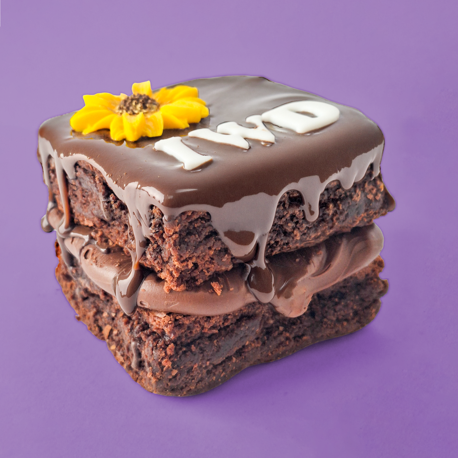 Nutella Mini Brownie Cake